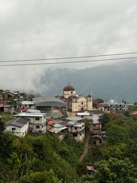 MEXICO - YUU-CHULA / Criollo / Washed