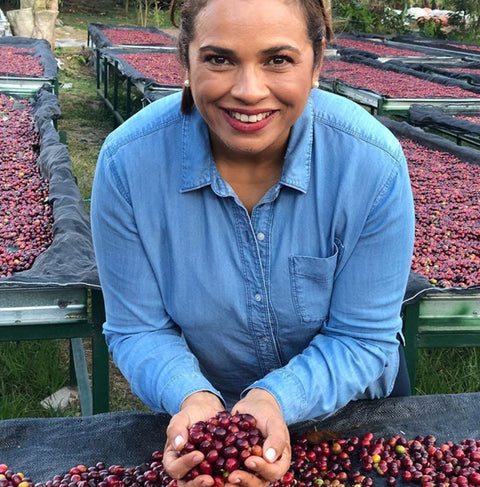 HONDURAS - FINCA EL PUENTE / Catuai / Washed